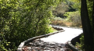 Hiking on the Euchee Creek Greenway trail system